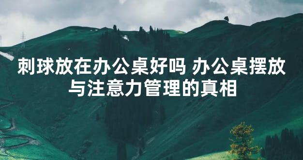 刺球放在办公桌好吗 办公桌摆放与注意力管理的真相